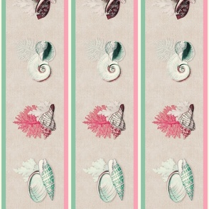 Coquillages (Carmine Mint) Wallpaper Border 6x36in