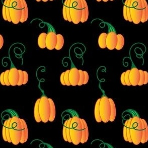 Midnight Pumpkins