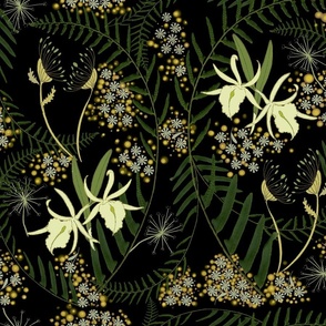 Victorian era Prince-and-the-Pauper-Orchids-and-Queen-Anne's-Lace-on-black