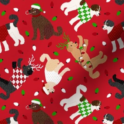 Goldendoodle / Labradoodle Christmas Red