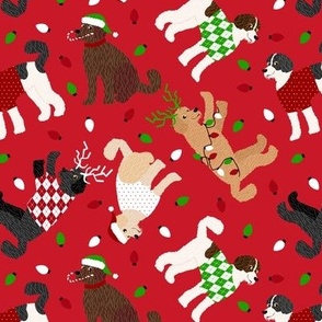 Goldendoodle / Labradoodle Christmas Red
