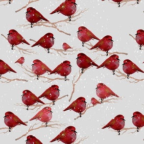 Large Red Bird / Cardinal Birds / Snow / Grey