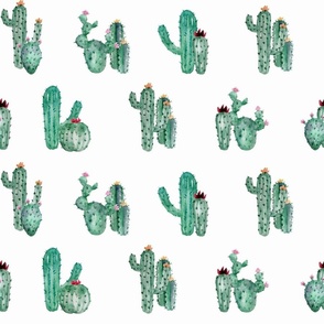  Cactus Print