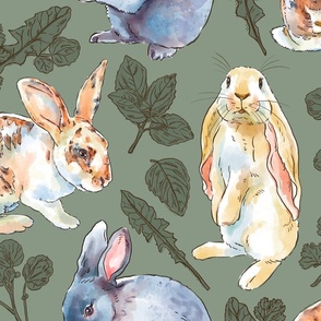 Rabbits and Herbal Treats on Country Green, Large Scale