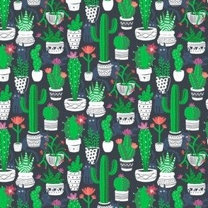 Cats Among the Cactus - Small