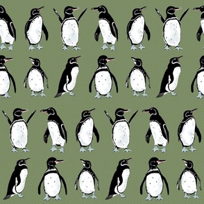 Galápagos Penguins on sage green | small | colorofmagic 