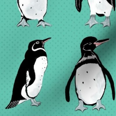 Galápagos Penguins on turquoise | medium | colorofmagic 