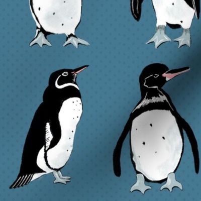 Galápagos Penguins on blue | medium | colorofmagic 