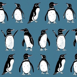 Galápagos Penguins on blue | medium | colorofmagic 