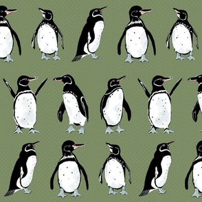 Galápagos Penguins on sage green | medium | colorofmagic 
