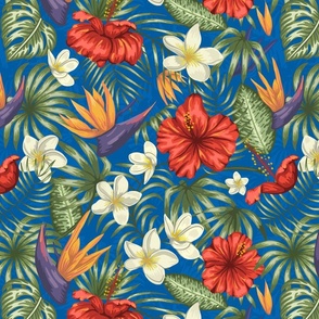 Pacific Blue Hibiscus Tropical Rainforest Birds and Plumeria