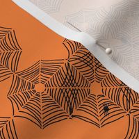 Spider Web x Orange