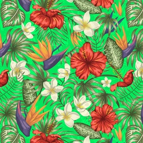 Bright Green Hibiscus Tropical Rainforest Birds of Paradise