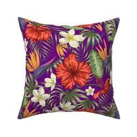 Royal Purple Hawaiian Hibiscus Tropical Rainforest Birds of Paradise