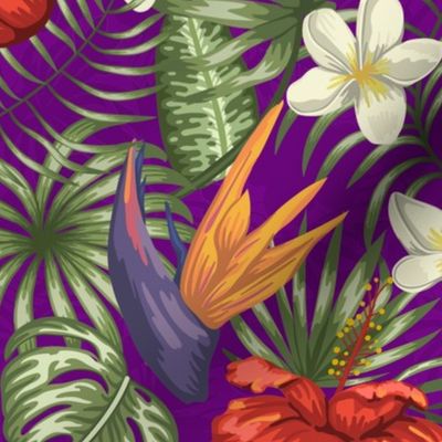 Royal Purple Hawaiian Hibiscus Tropical Rainforest Birds of Paradise