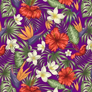 Royal Purple Hawaiian Hibiscus Tropical Rainforest Birds of Paradise