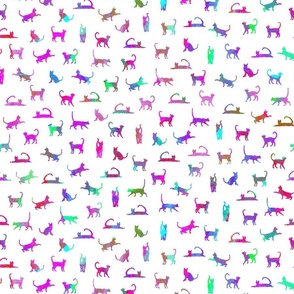 patterned cats on white