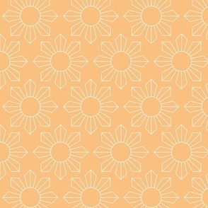 Modernist geometric sunshine blossom summer design retro style pattern mango orange