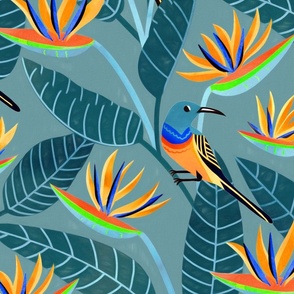  Sunbird and Strelitzia Spotting - Grey Blue - Large Scale