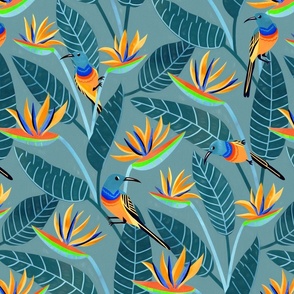  Sunbird and Strelitzia Spotting - Grey Blue - Medium Scale