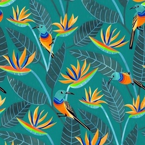  Sunbird and Strelitzia Spotting - Teal Green - Small Scale