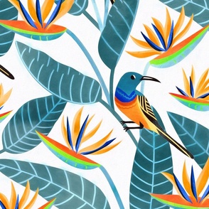  Sunbird and Strelitzia Spotting - Teal Leaves - Large Scale