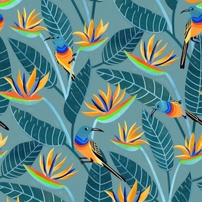  Sunbird and Strelitzia Spotting - Grey Blue - Small Scale