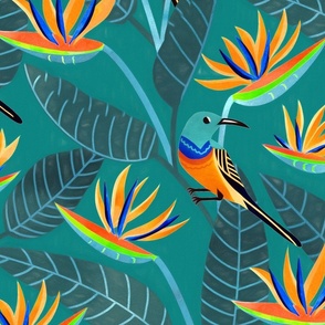  Sunbird and Strelitzia Spotting - Teal Green - Large Scale
