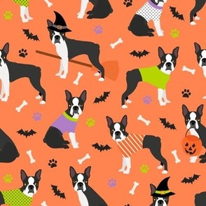 Boston Terrier Halloween Orange