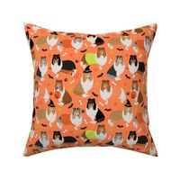 Rough Collie Halloween Orange