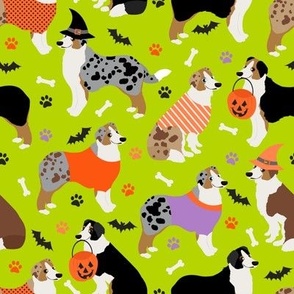 Australian Shepherd Halloween Green