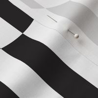 Black and White Stripes w-Circles -Mixed Vertical and Horizontal -LRG