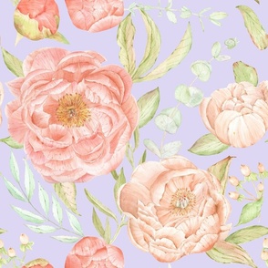 Watercolor peonies on lavender background