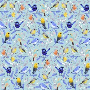 Lovely Birding  -medium-  blue