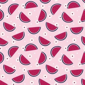 Watermelons on Pink 4x4