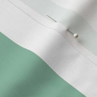 White poinsettia light green stripe 4x4
