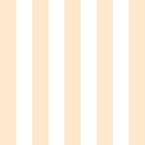 White poinsettia peach stripe 4x4