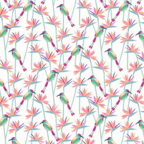 Motmot bird in tropical paradise strelitzia large wallpaper scale in pink mint by Pippa Shaw