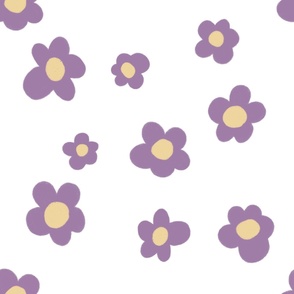 Purple daisies 