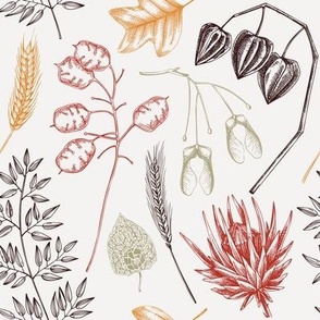dried plants pattern in color