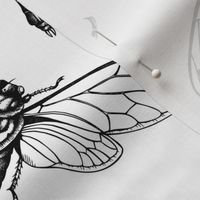 Detailed insects design