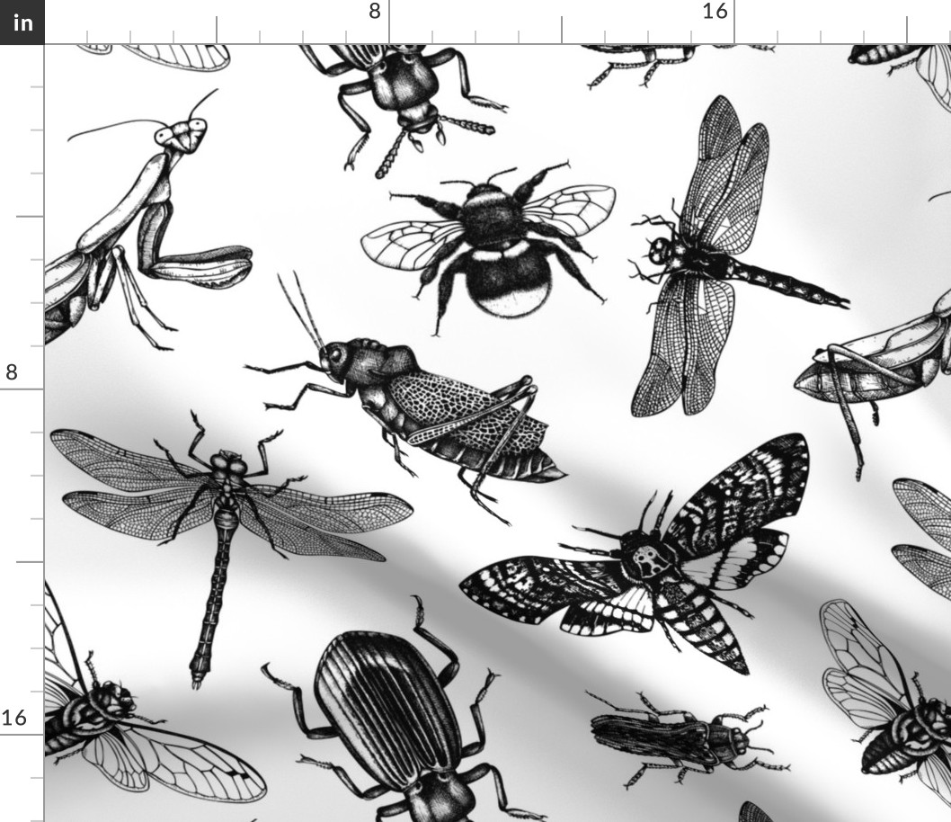 Detailed insects design