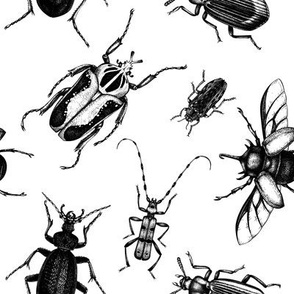 Insects pattern in sketched style