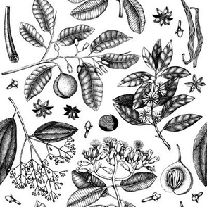 Spice plants pattern in sketch style