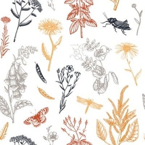 Summer pattern with hand drawn wildflowers and insects