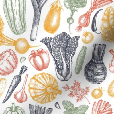 Vegetable sketches in color