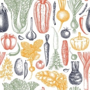 Vegetable sketches in color