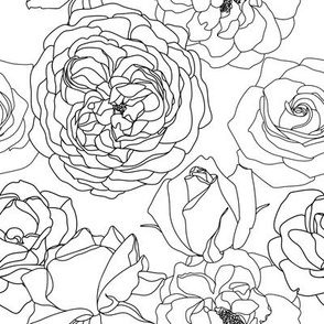 Roses line art black and white 