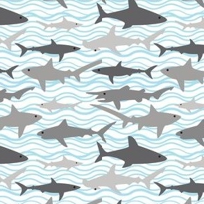 Sharks in the Water