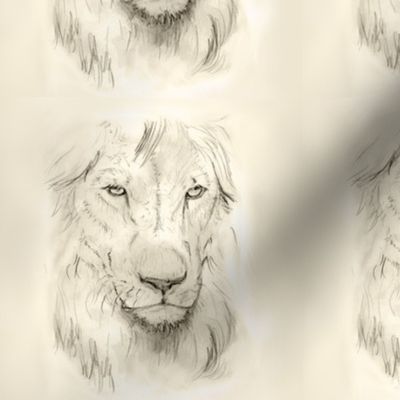 Custom Square Lion Portrait Gray on Cream with Highlights